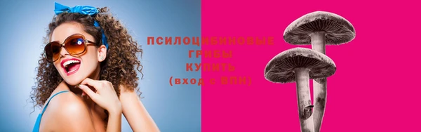 кокс Вяземский