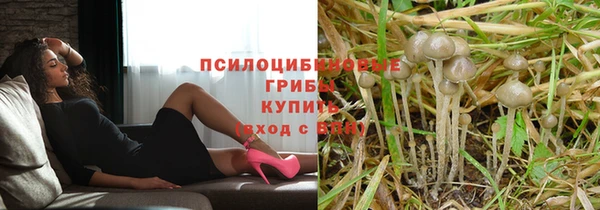 кокс Вяземский