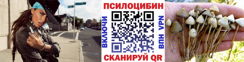 Псилоцибиновые грибы Psilocybine cubensis  наркотики  Карачев 