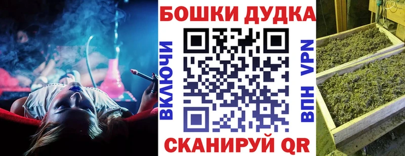 Шишки марихуана план  как найти закладки  Карачев 